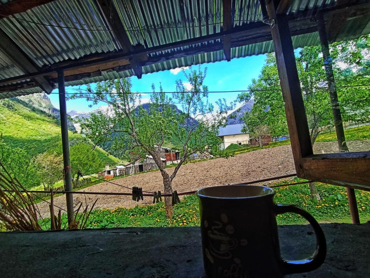Guesthouse Mamuka Zhabesh Zhabeshi Luaran gambar